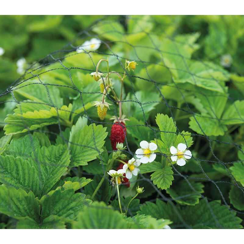 Tuinnet 3x10m bescherming